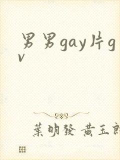 男男gay片gv