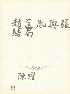 赵匡胤与张美玉结局封面