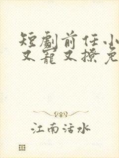 短剧前任小叔他又宠又撩免费看