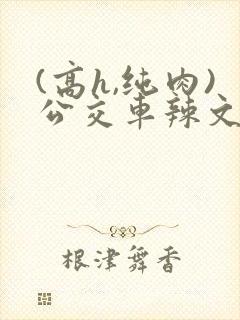 (高h,纯肉)公交车辣文小说封面