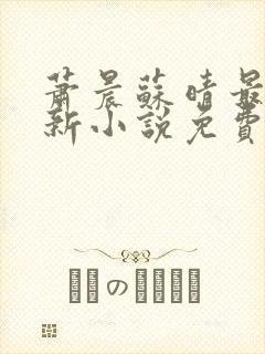 萧晨苏晴最新更新小说免费阅读封面