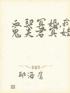 血契冥婚,我的鬼夫君冥娃