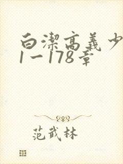 白洁高义少妇第1一178章