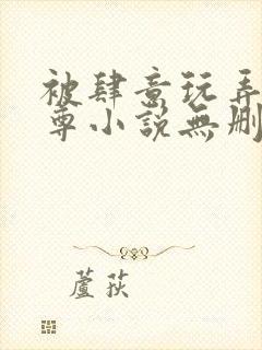 被肆意玩弄的仙尊小说无删减