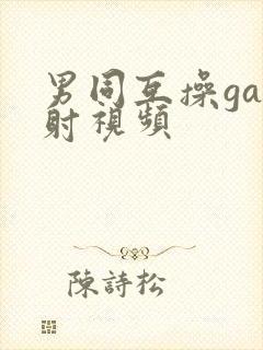 男同互操gay射视频