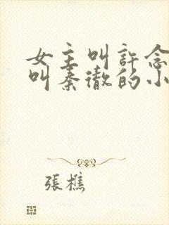 女主叫许念男主叫秦彻的小说