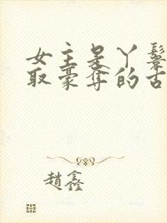 女主是丫鬟被强取豪夺的古言封面