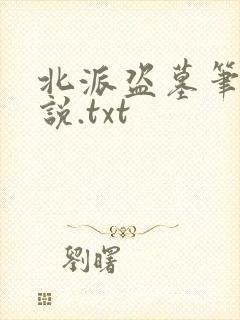 北派盗墓笔记小说.txt