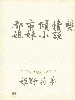 都市倾情双胞胎姐妹小说封面