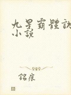 九星霸体诀龙尘小说