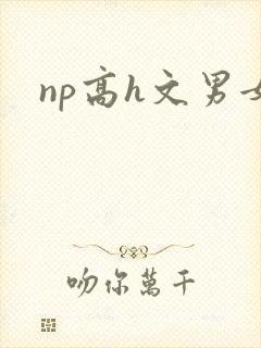 np高h文男女封面