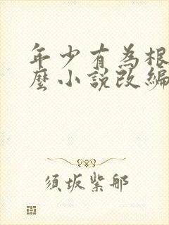 年少有为根据什么小说改编