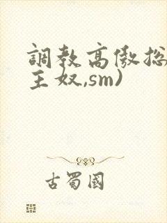 调教高傲总裁(主奴,sm)