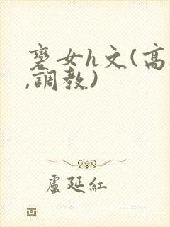 变女h文(高h,调教)封面