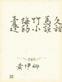 青梅竹马久别重逢的小说甜宠文
