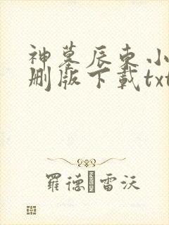 神墓辰东小说未删版下载txt
