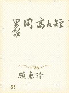 男同高h短篇小说