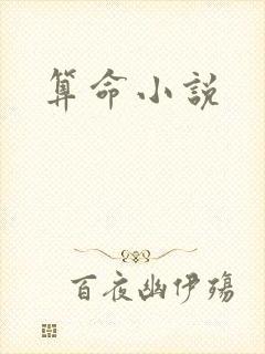 算命小说