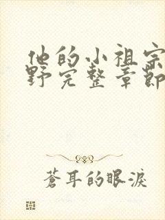 他的小祖宗甜又野完整章节下载