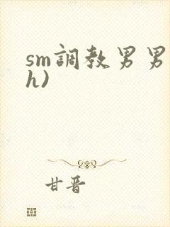 sm调教男男(h)封面