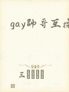 gay帅哥互操