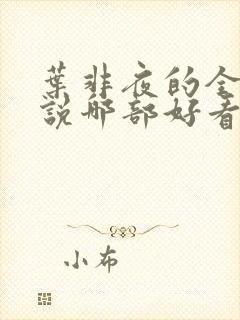叶非夜的全部小说哪部好看