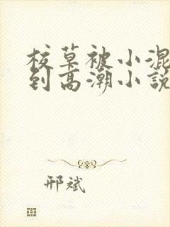 校草被小混混c到高潮小说