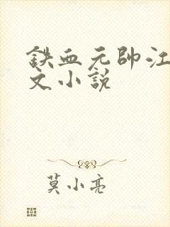 铁血元帅江天全文小说