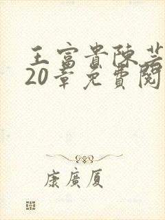 王富贵陈芸小说20章免费阅读封面