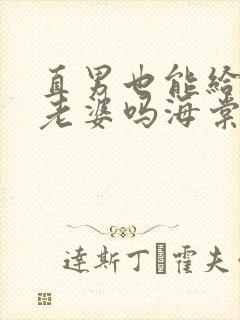 直男也能给人当老婆吗海棠