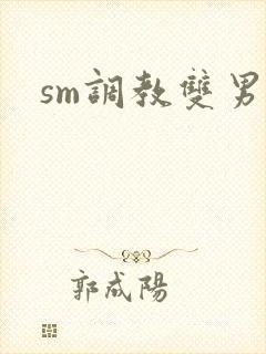 sm调教双男主