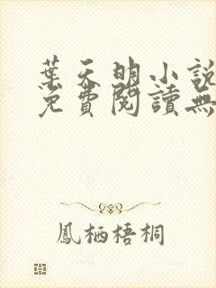 叶天明小说全文免费阅读无弹窗最新章节封面
