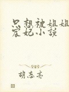 只想被姐姐惩罚宸妃小说