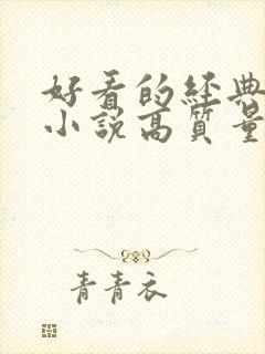 好看的经典言情小说高质量文笔好封面