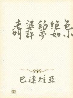 老婆的绝色闺蜜叫许梦如小说封面