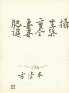 肥妻重生摄政王追妻全集