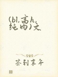 (bl,高h,纯肉)文
