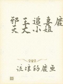 邪王追妻废材逆天大小姐