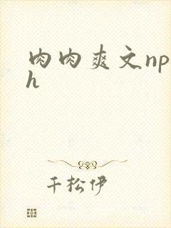 肉肉爽文np高h