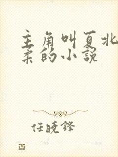 主角叫夏北许馨柔的小说