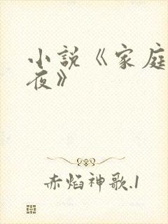 小说《家庭欢乐夜》