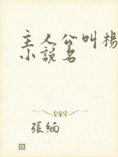 主人公叫杨凡的小说名