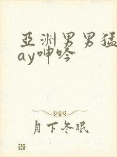 亚洲男男猛男gay呻吟