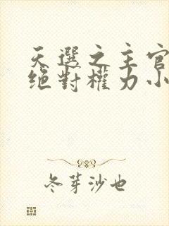 天选之主官场之绝对权力小说封面