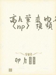 高h荤爽肉欲文〈np〉视频