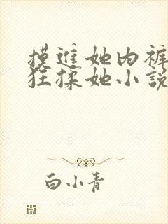 摸进她内裤里疯狂揉她小说视频