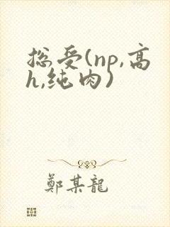 总受(np,高h,纯肉)
