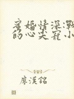 蜜婚情深:战少的心尖宠小说