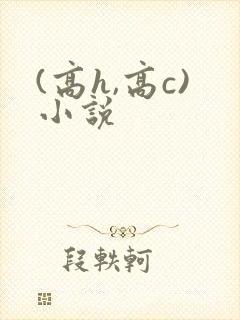 (高h,高c)小说封面