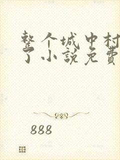 整个城中村穿越了小说免费阅读